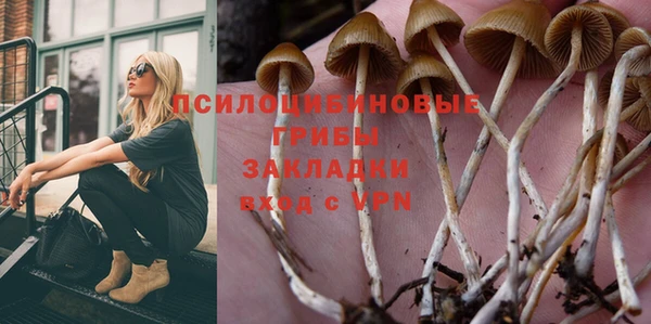 PSILOCYBIN Богданович